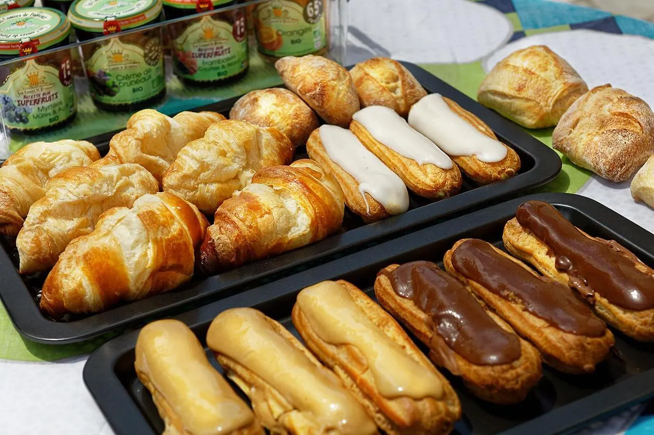 Le Cherche Midi Chambres D'Hotes Avec Cuisine Equipee Grand Jardin Parking Securise Gratuit アルビ ゲストハウス
